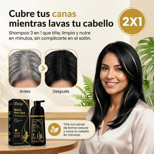 Shampoo Anti Canas