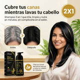 Shampoo Anti Canas