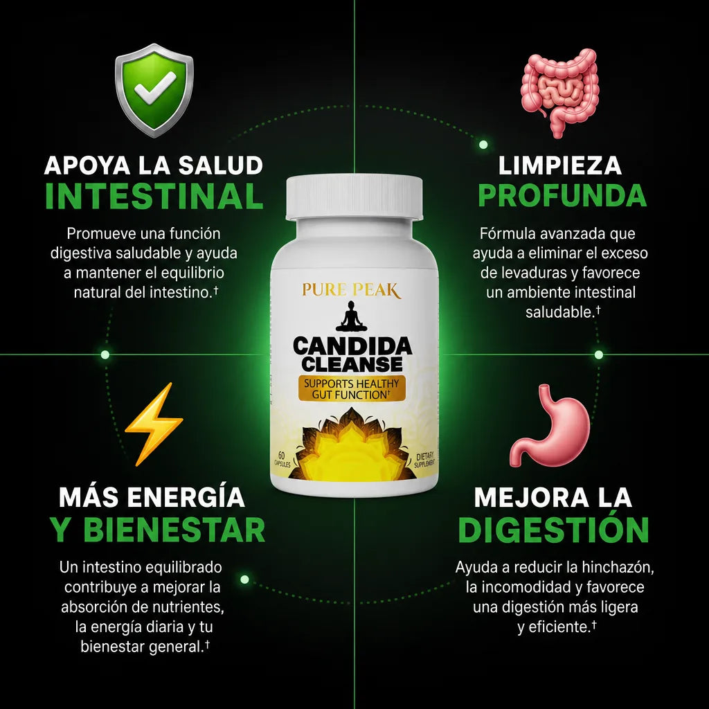 Galería