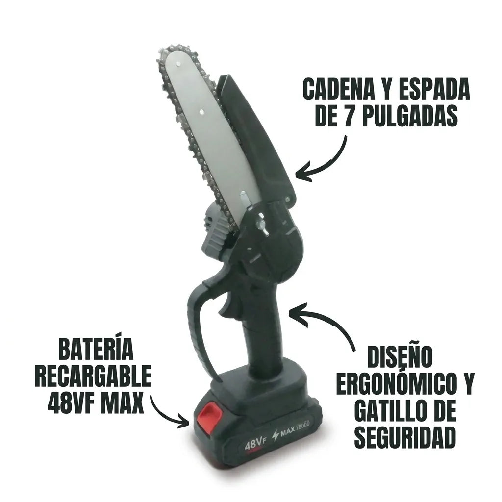 Galería