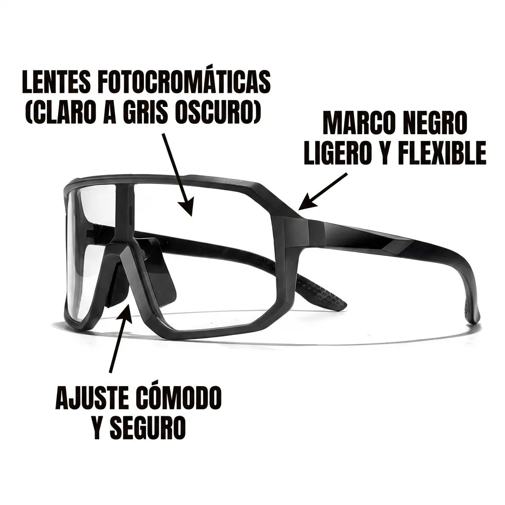 Galería